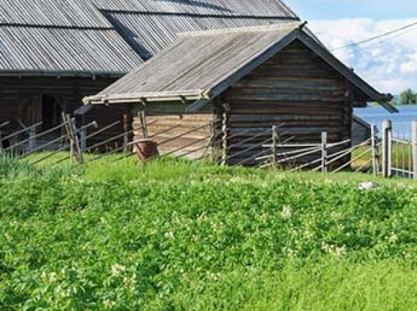 Россиян напугали новым "налогом на огород" со ставкой в 50 тысяч рублей в год