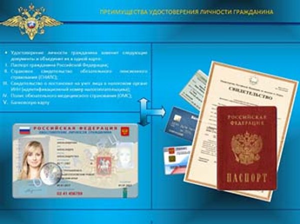 Названы сроки, когда в России исчезнут бумажные паспорта