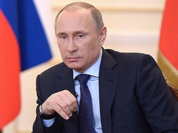 «Незыгарь»: Путин может инициировать досрочные выборы президента
