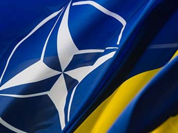 МИД раскрыл план обороны России в случае вступления Украины и Грузии в НАТО