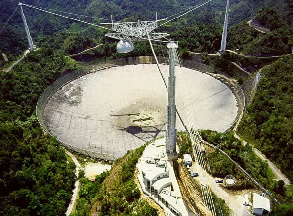 "Нас обнаружили": телескоп Arecibo поймал радиосигналы с угрозами землянам