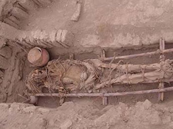 Ученые раскрыли секрет ДНК самой древней мумии Нового Света