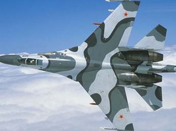 Видео перехвата самолета-разведчика США российским Су-27 появилось в Сети
