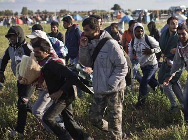 Тысячи вооруженных ножами мигрантов рвутся в Европу