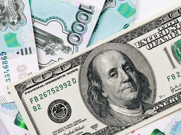 Курс доллара на сегодня, 14 ноября 2018: как курс доллара изменит стоимость новогоднего стола