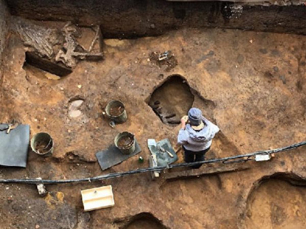 Археологи нашли в Подмосковье череп мамонта с древним кладом