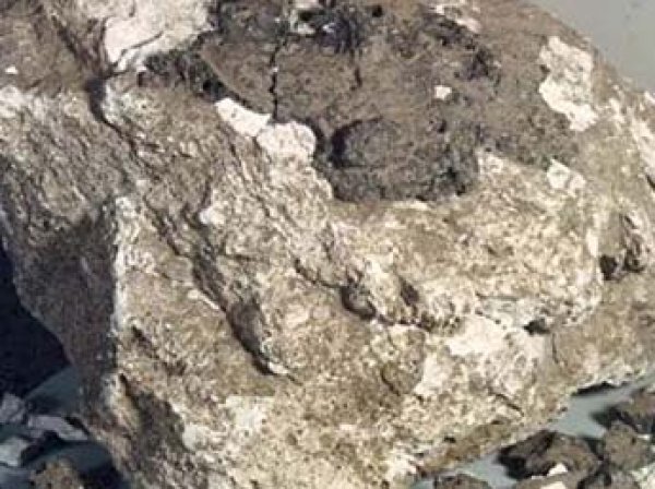 В РАН нашли доказательство высадки американцев на Луне