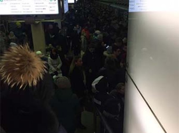 Массовый сбой на линиях привел в страшной давке в московском метро