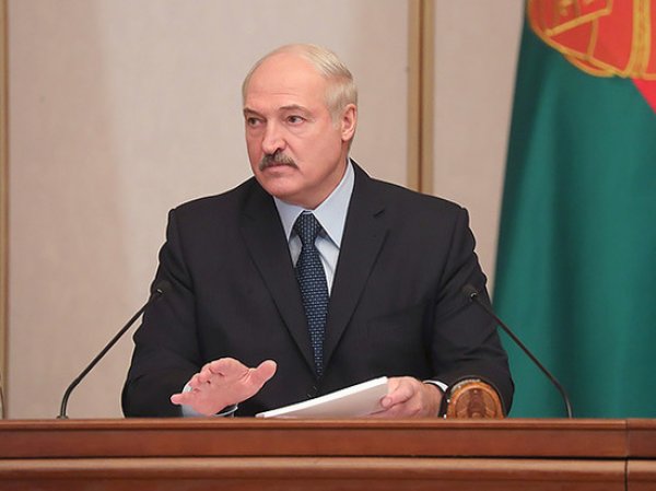 Лукашенко пояснил свои слова о «бабле, мерседесах и телках»