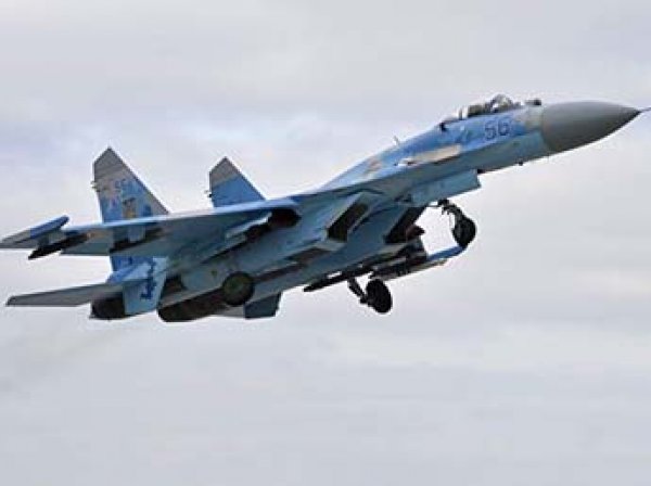 В Сети появились фото разбившегося на Украине истребителя Су-27