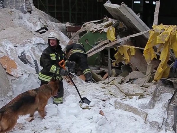 Обрушение кровли завода в Дзержинском, убившее трех человек, попало на видео