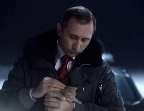 Видео про "Путина и котенка" от Comedy Club вызвал скандал: ролик удаляют из Сети
