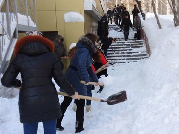 В Саратове учителей на морозе заставили убирать снег в мешки