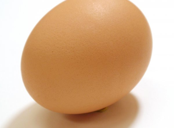 Фото куриного яйца побило мировой рекорд в Instagram
