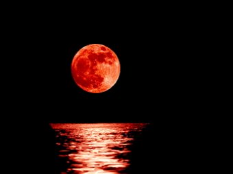«Луна превратится в кровь»: скрытые библейские тексты предсказывают конец света уже через 4 дня