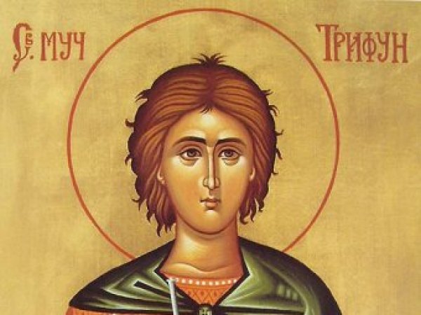 Какой сегодня праздник 14 февраля 2019: церковный праздник Трифонов день отмечается в России