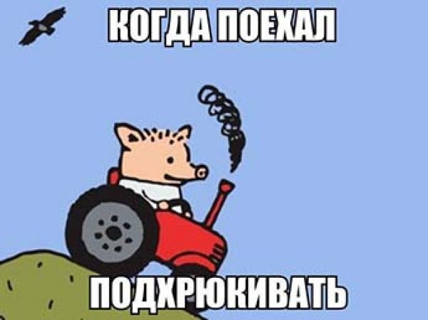 После слов Путина Симоньян запустила в Интернете «подхрюкивание» - челлендж