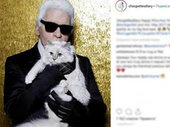 Легендарный модельер Карл Лагерфельд завещал состояние своей кошке