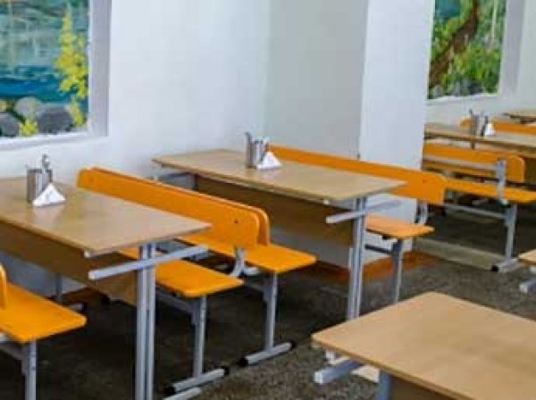 В московской школе произошла массовая драка третьеклассниц