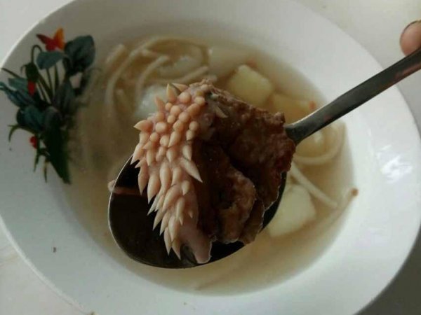 В Курганской области на обед в школе подали суп с "щупальцами чужого" (ФОТО)