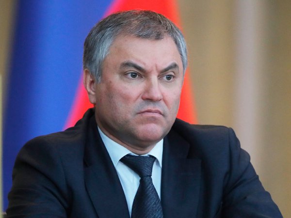 Володин жестко прервал министра Орешкина во время выступления в Госдуме и перенес заседание (ВИДЕО)