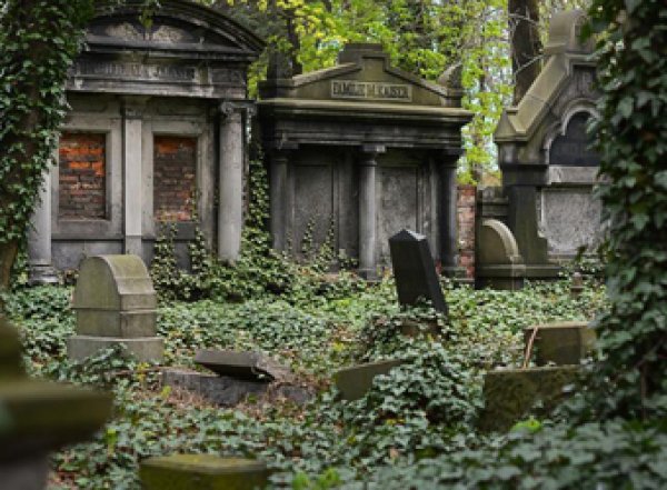 В США пенсионерку засосало в могилу родителей на кладбище: теперь пострадавшая требует  млн