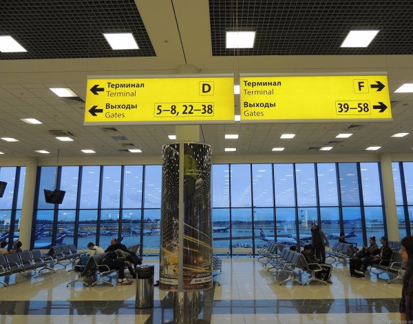 Аэропорт «Шереметьево» уволил сотрудницу, нахамившую пассажиру