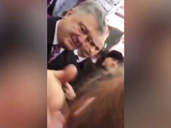 "Он озверел": в Сети появилось видео, как Порошенко ударил девушку по лицу на митинге в Александрии