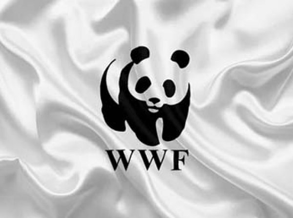 Всемирный фонд дикой природы обвинили в пытках и убийстве браконьеров