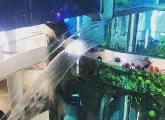 В московском ТЦ «Океания» прорвало самый большой в мире аквариум с панорамным лифтом" 