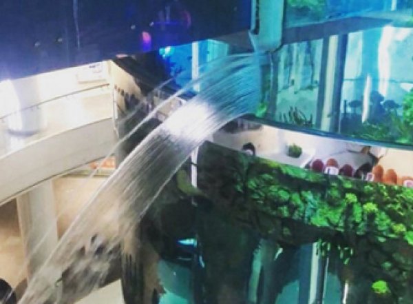 В московском ТЦ "Океания" прорвало самый большой в мире аквариум с панорамным лифтом (ВИДЕО)