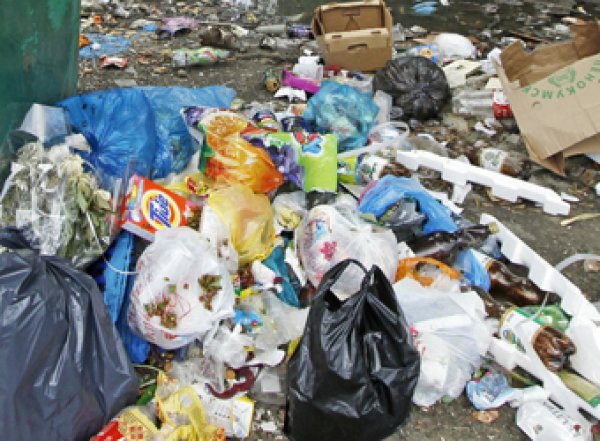 В поисках 12 млн рублей семья из Тюмени перевернула 12 тонн мусора на свалке
