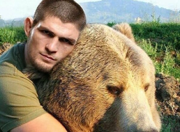 Нурмагамедов снова схватился с медвежонком (ВИДЕО)
