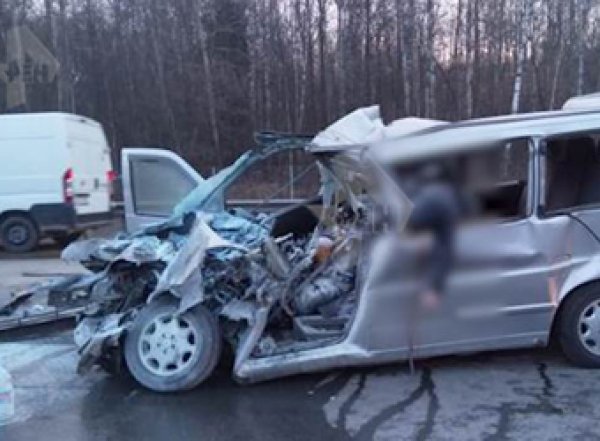Авария на трассе М-4 "Дон" 4 апреля: в страшном ДТП в Подмосковье погибли 6 человек (ФОТО, ВИДЕО)