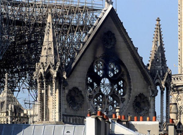 Пользователи в шоке: в Сети началась продажа углей Нотр-Дама