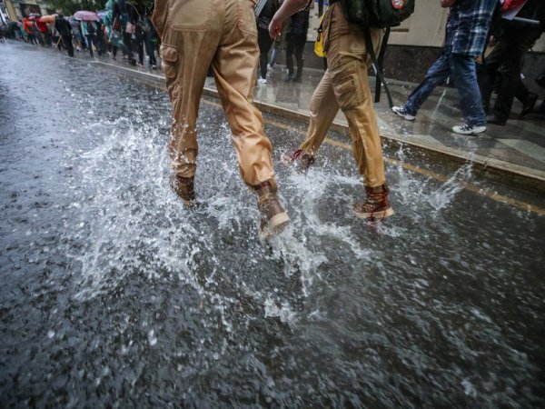 Прогноз погоды от Гисметео в Москве на две недели: грозы и температурный скачок