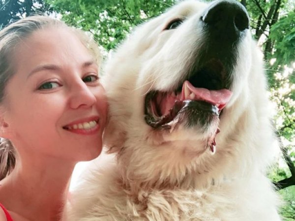 Дочь Ирины Салтыковой потрясла фото до и после того, как ее покусала собака за лицо