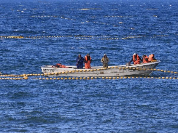 У берегов Сахалина рыбаки выловили тело бывшего мэра Шахтерска