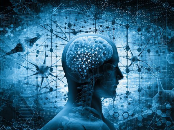 Ученый опубликовал самый короткий IQ-тест в мире