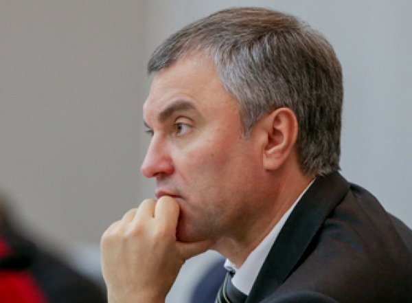 Володин потребовал у президента Грузии извинений перед россиянами