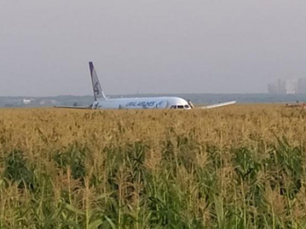 В Подмосковье самолет А-321 с пассажирами совершил жесткую посадку в поле: есть раненые (ФОТО, ВИДЕО)