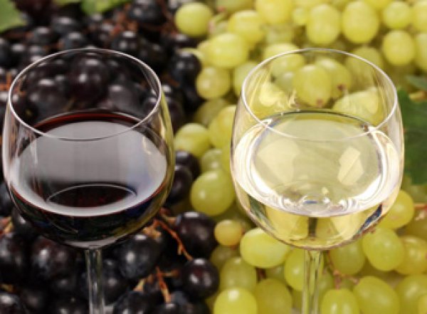 Медики рассказали какое вино снижает риск ожирения