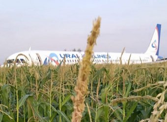 Западные СМИ назвали посадку А321 чудом на кукурузном поле