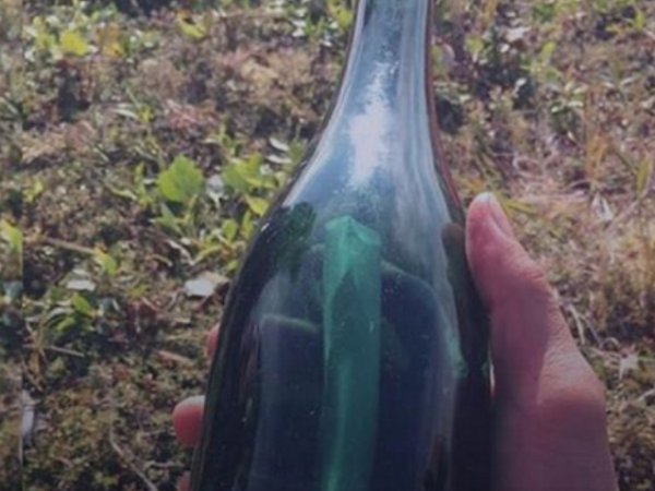 Житель Аляски нашел бутылку с посланием из СССР 50-летней давности