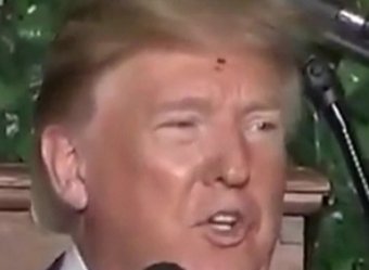 Оранжевый, но не сладкий: Сеть развеселил жук, ползающий по Трампу (ВИДЕО)