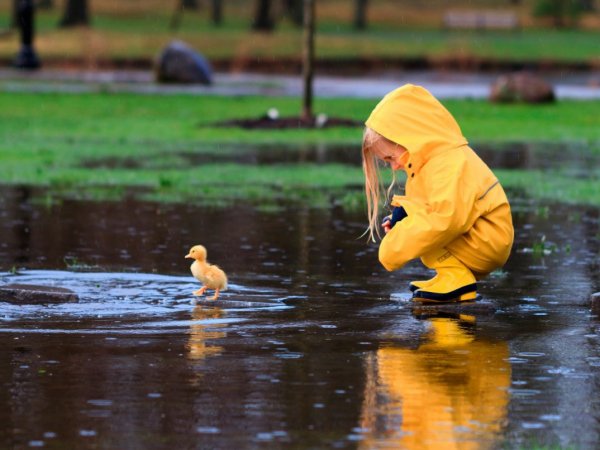Погода в Москве на 14 дней: по прогнозу, как у ребенка - будет тепло и мокро