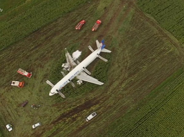 "Не отвлекайте нас": расшифровка переговоров пилота севшего в поле А321 с диспетчером попала в СМИ