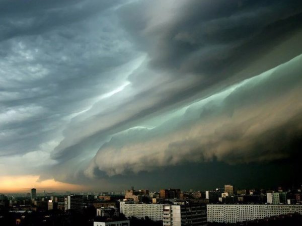 В Москву пришел шторм: МЧС впервые предупредило о непогоде по телевизору