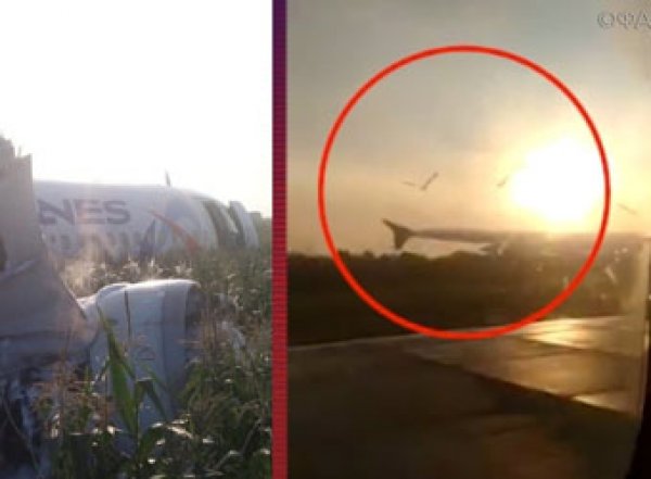 Момент столкновения самолета Airbus с птицами в Подмосковье попал на видео