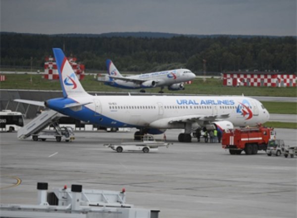 Самолет из Екатеринбурга совершил экстренную посадку после столкновения со стаей птиц